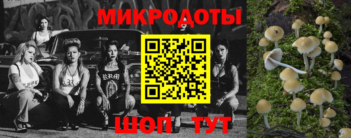 Галлюциногенные грибы Psilocybe Джанкой